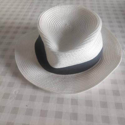 Sommerhut neu - thumb