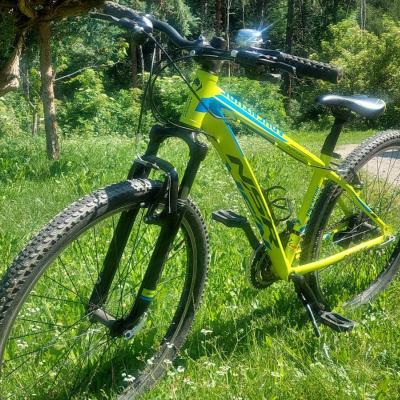 Mountainbike - thumb