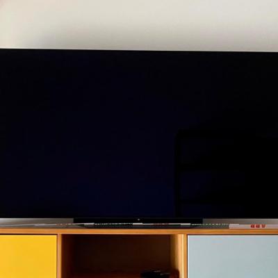 OLED Fernseher LG 55 Zoll neuwertig mit Garantie - thumb