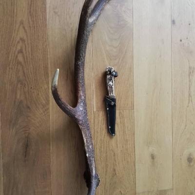 Abwurf Geweih mit Jagdmesser - thumb