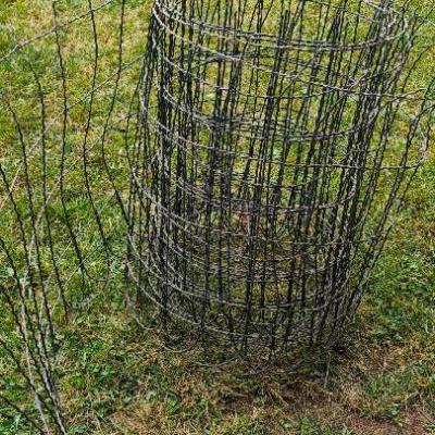 Garten Zaun - thumb