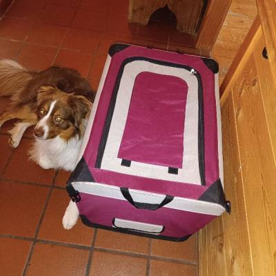 Hundebox zu verkaufen - thumb
