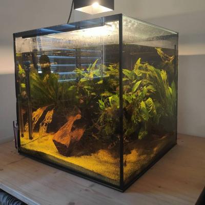 Aquarium (Cube) 125l - thumb