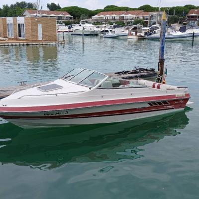 Motorboot Sea Ray 190 CC - thumb