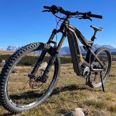 Mountain Bike Spitzing Evolution Bobby Root - thumb
