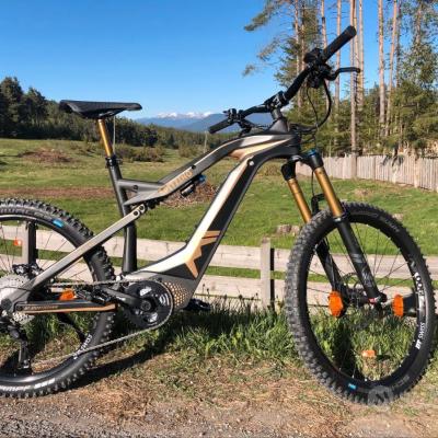 Mountain Bike Spitzing Evolution Bobby Root - thumb