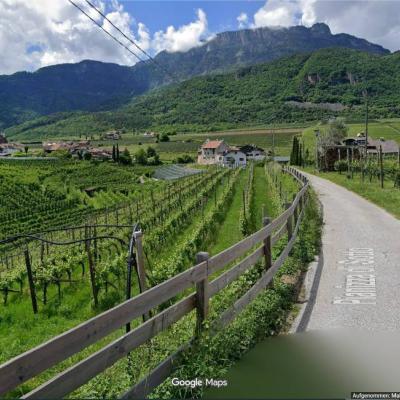 Weinbau-Immobilie - landwirtscaftl. Grün - thumb