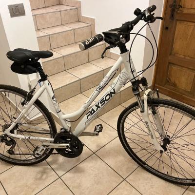 Damenfahrrad - thumb