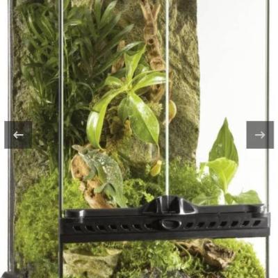 Verschiedene Terrariums - thumb