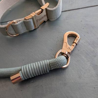 Ganz neu Hundeleine und Halsband für einen mittleren bis grossen Hund - thumb