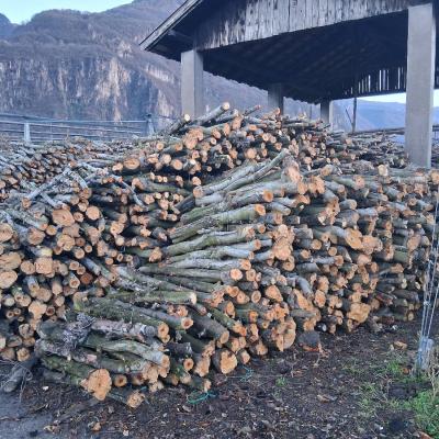 Verkaufe Apfelbaumholz - thumb