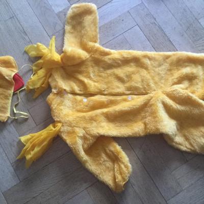 Kükenkostüm 2-teilig, praktisch und warm - thumb