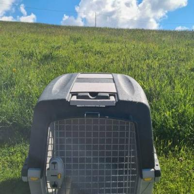 Transportbox Hund - thumb
