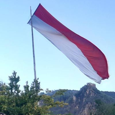 Tiroler Landes-Fahne weiss-rot - thumb