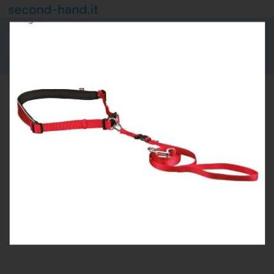 Joggingleine - thumb