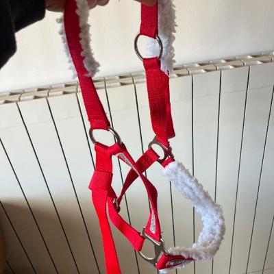 Gebrauchte Pferdehalfter in gutem Zustand - thumb