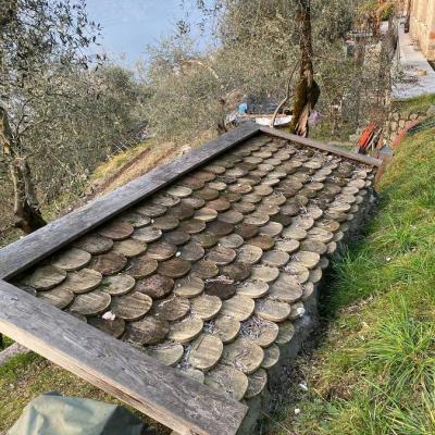 Originale alte Bieberschwanz Dachziegel 7.000 St. - thumb