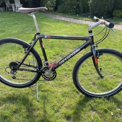 Suche: Alte Mountainbikes 1990er Jahre Cannondale/Giant/Troger/Trek - thumb
