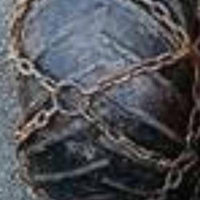 Ketten für Bergwanze - thumb