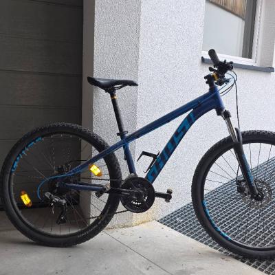 Mountainbike - thumb