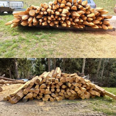 Holzstecken Lärche gespitzt - thumb