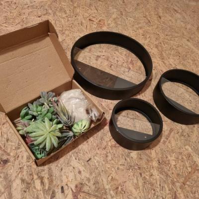 Wanddeko (Vasen mit Pflanzen) - thumb