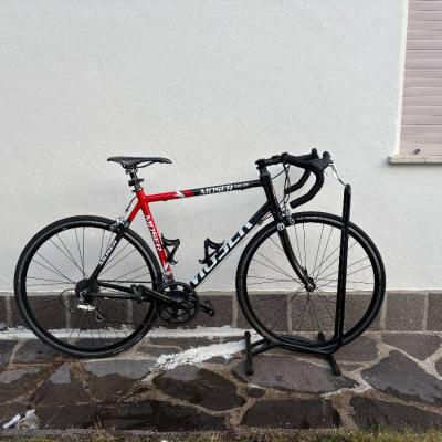 Rennrad Moser - thumb