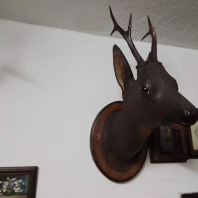 Geschnitzter Rehbock - thumb