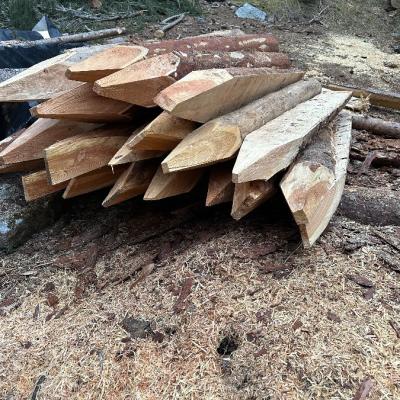 Lärchen Säulen - thumb