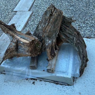 Kiem holz wurzen - thumb