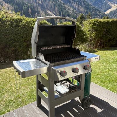 Gasgrill Weber - thumb