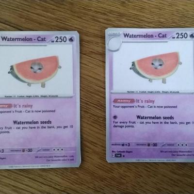 Selbstgemachte Fruitcat Sammelkarte - thumb