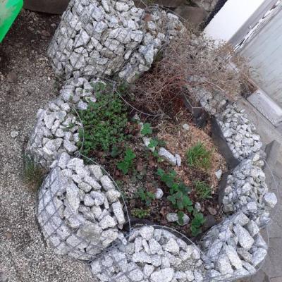 Kräuterspirale - thumb