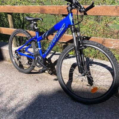 Mountainbike Damen - thumb