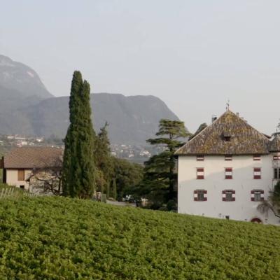 Kellermitarbeiter (m/w/d) - thumb