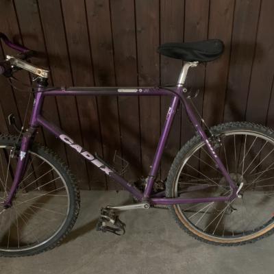 Cadex mountain bike - thumb