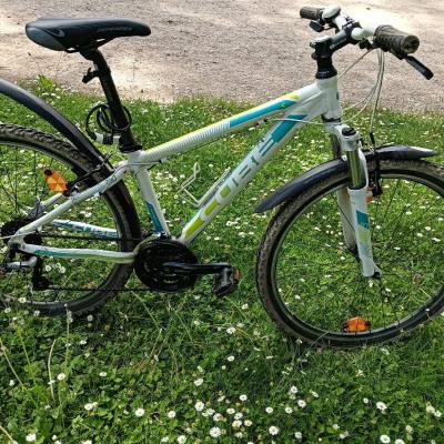 Mountainbike - thumb