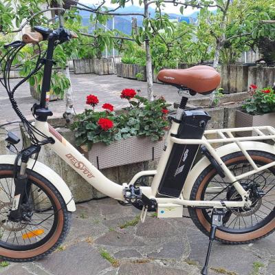 E-Bike 250W OT16-2 E-Bike 20'' 150KG Klappbar - thumb