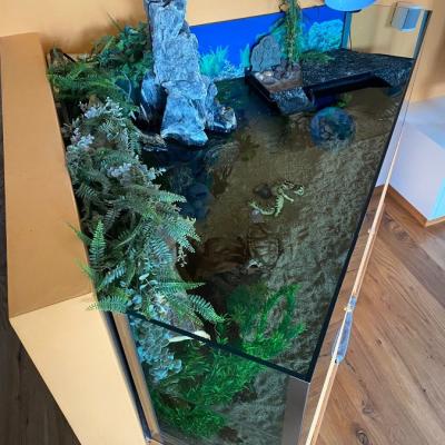 Großes Aquarium mit Technik zu verschenken - thumb