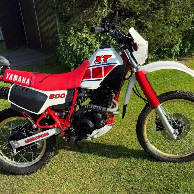 Yamaha XT 600 - thumb