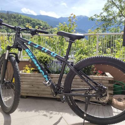 Fahrrad Bianchi - thumb