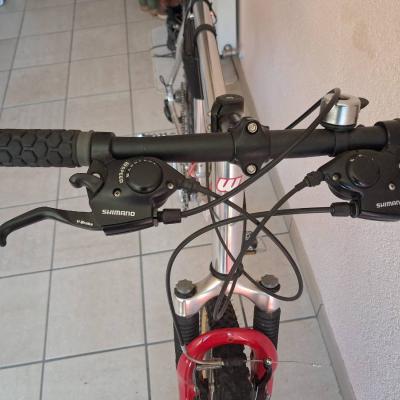 NEUWERTIGES HERREN MOUNTAINBIKE GÜNSTIG - thumb