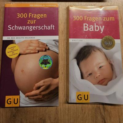Set - 300 Fragen zur Schwangerschaft & zum Baby - Holzgreve/Laue - thumb