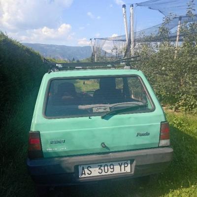 Fiat Panda - thumb