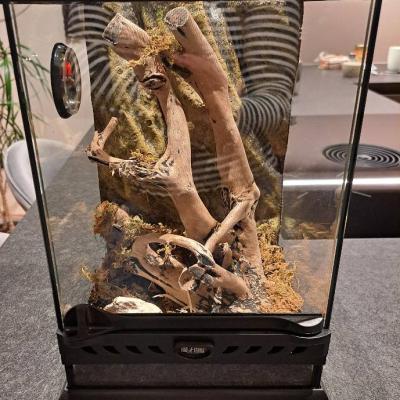 Verkaufe ein Acrylterrarium für kleine Tiere in sehr gutem Zustand - thumb
