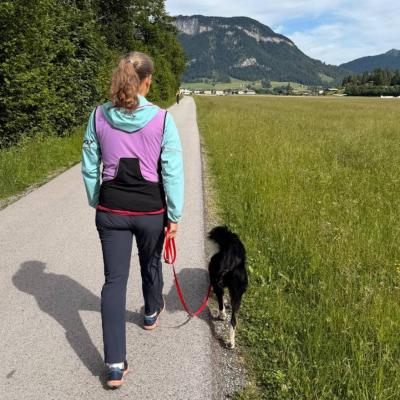 Lehrerin sucht günstige Wohnung für eine Person im Raum Lana - thumb
