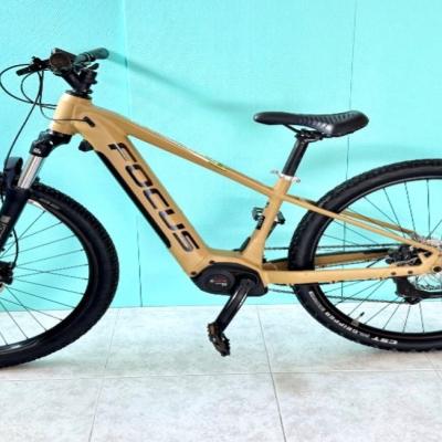Focus Jarifa 6.6 - thumb