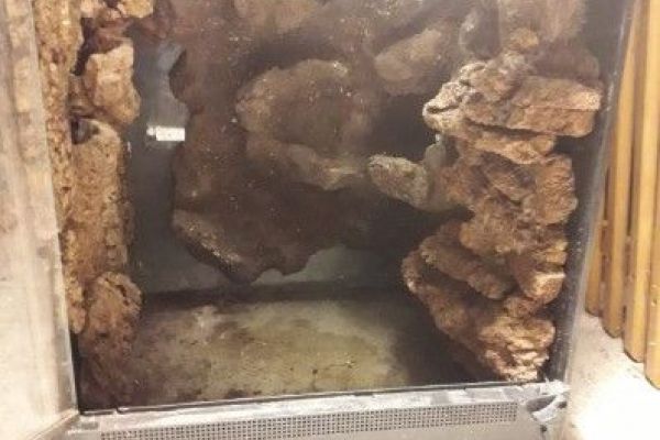 Terrarium mit Zubehör