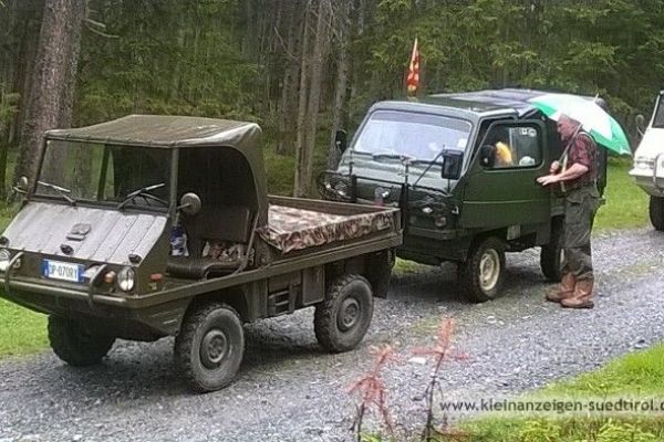 STEYR PUCH HAFLINGER zu verkaufen