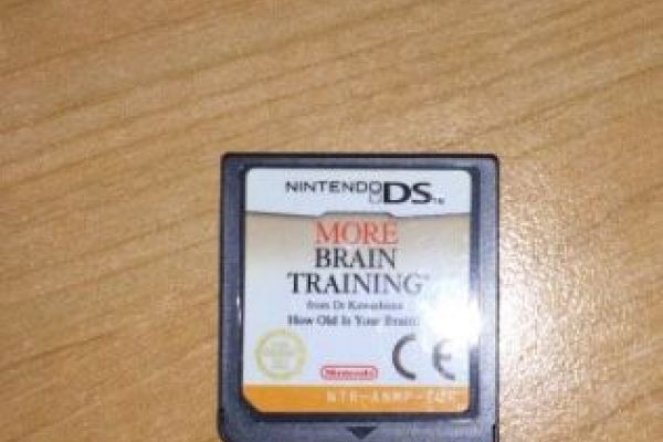 Nintendo DS Gehirntraining